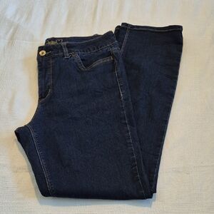 Lois Denim Georgia style size size 32 super stretch tummy panel VGUC